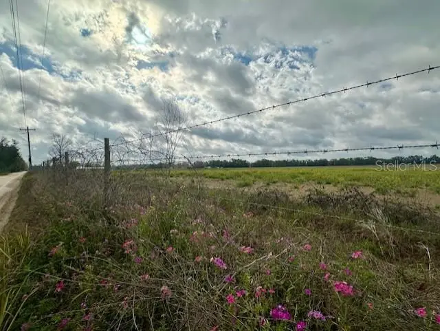 SW 80th Street, Trenton, FL 32693 - #2