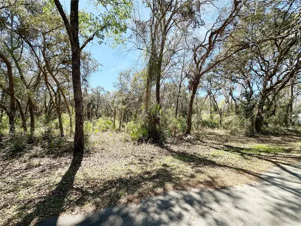 TBD NW 110th Circle, Lot 3, CHIEFLAND, FL 32626