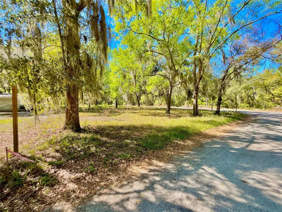 Lot 1 Se 16th Street, Melrose, FL 32666 - #3