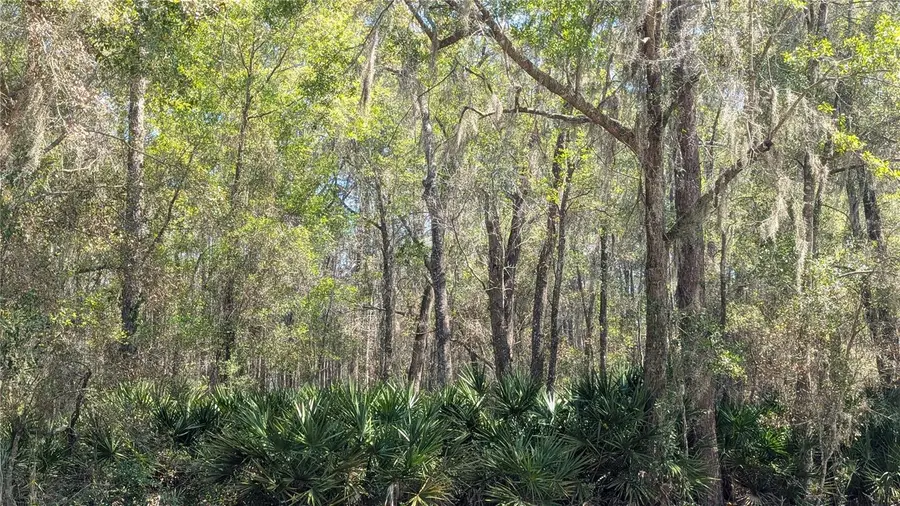 TBD NE County Road 234, Gainesville, FL 32641 - #2
