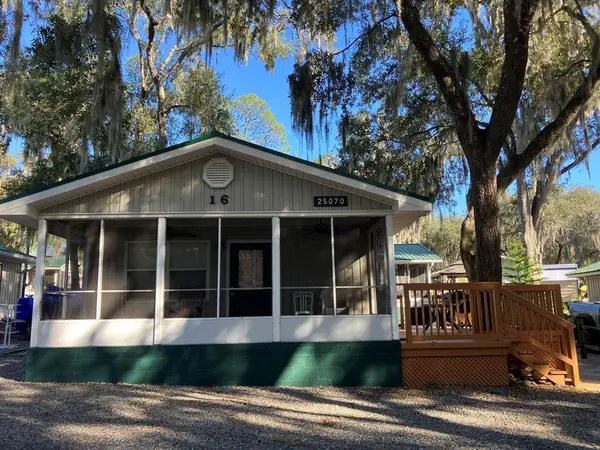 25079 NE 140th Loop, SALT SPRINGS, FL 32134