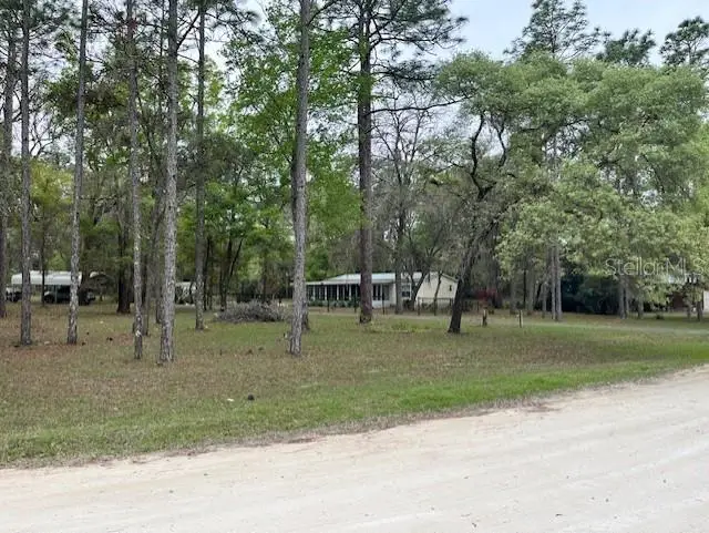 14890 SE 20th Street, Morriston, FL 32668 - #2