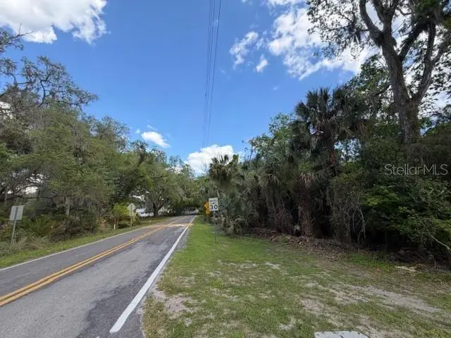 Cr 234, Micanopy, FL 32667 - #3