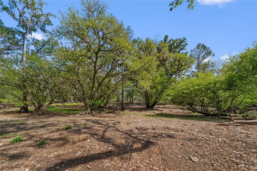 Address Withheld By Seller, Old Town, FL 32680 - #2