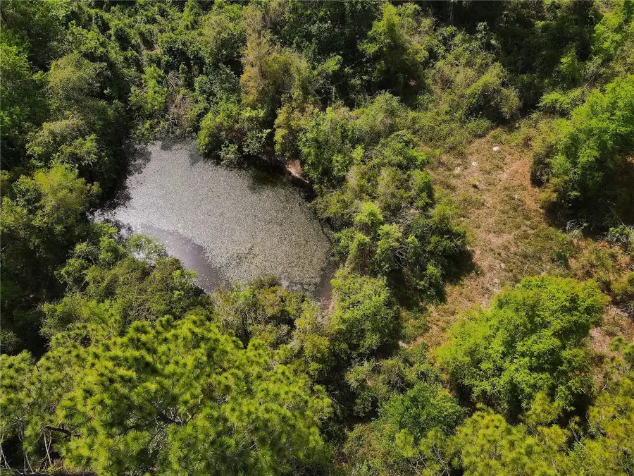 7157 NW 120th Street, Chiefland, FL 32626 - #3