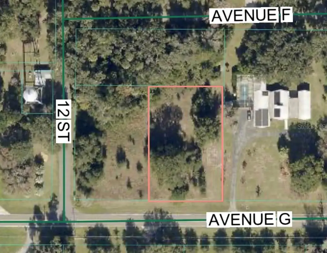 Avenue G, McIntosh, FL 32664 - #1