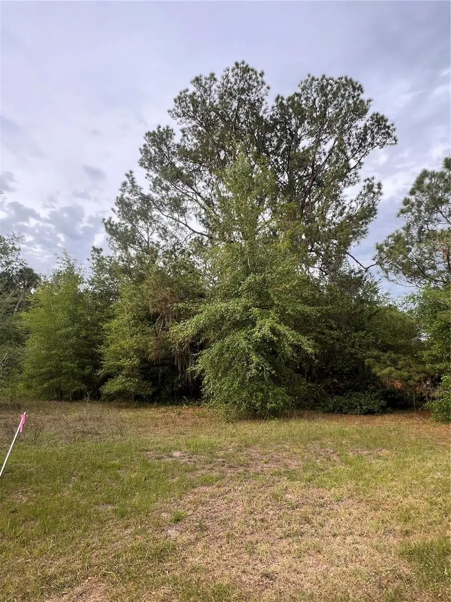 Avenue G, McIntosh, FL 32664 - #2