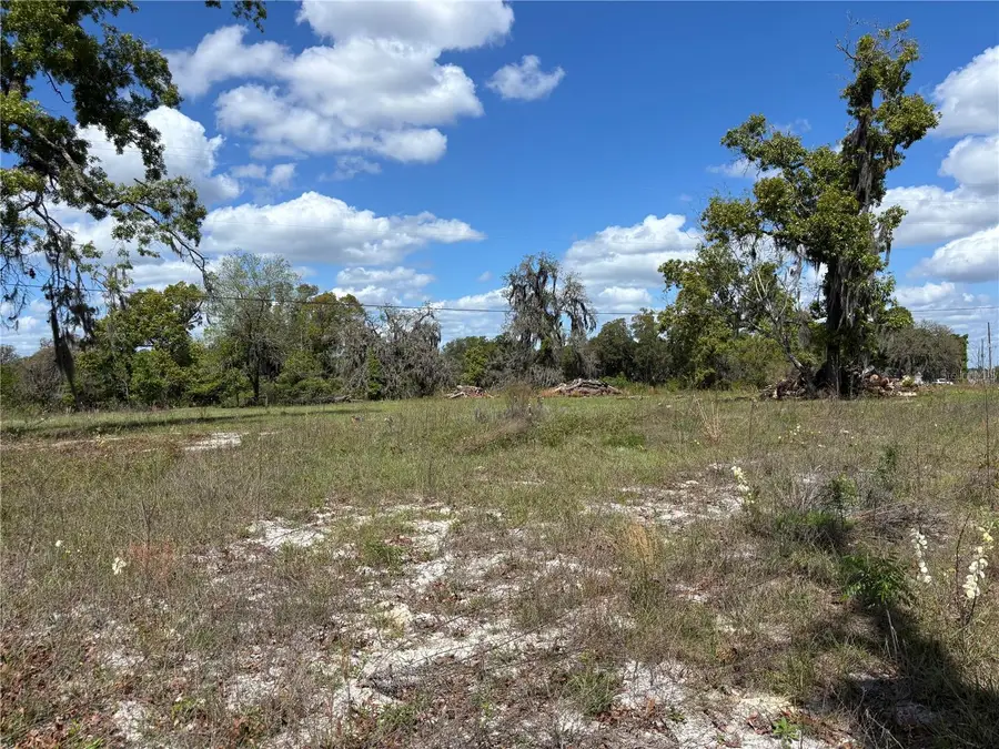 Se 8th Avenue, Melrose, FL 32666 - #3