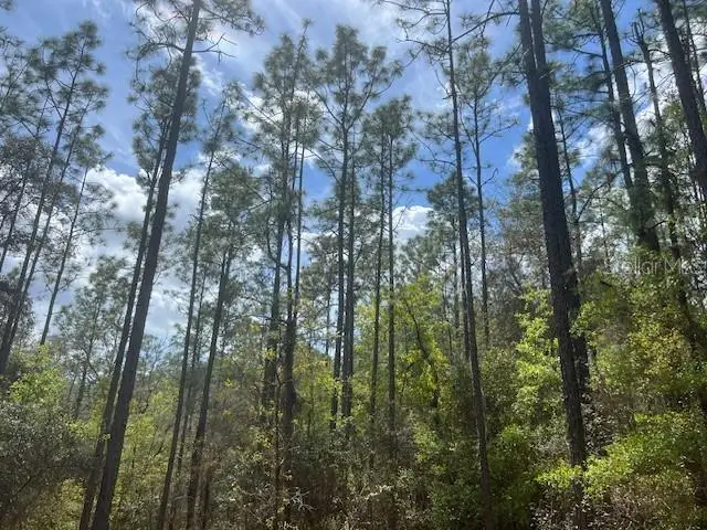 181 Whirlwind Loop, Hawthorne, FL 32640 - #2