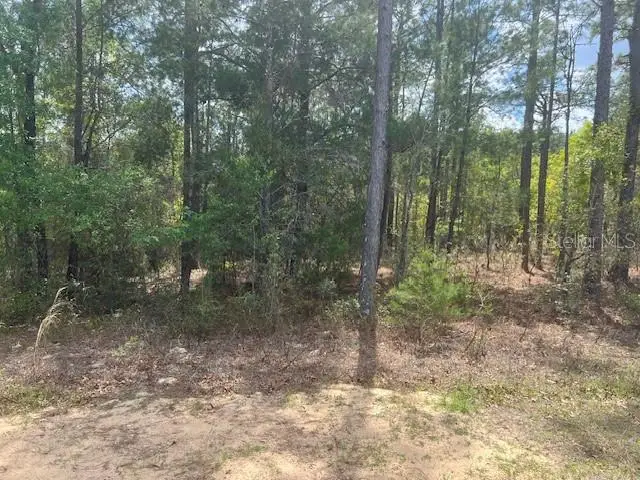 181 Whirlwind Loop, Hawthorne, FL 32640 - #3