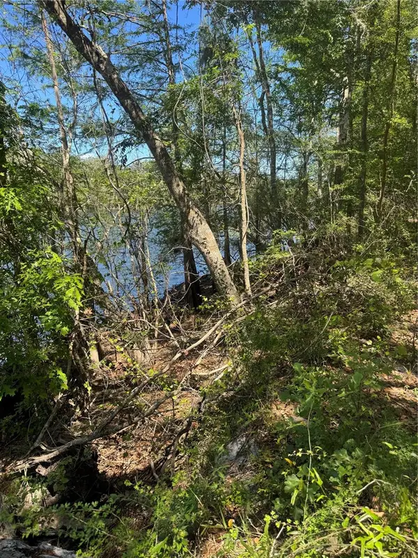 TBD Sw 25 Place, BELL, FL 32619