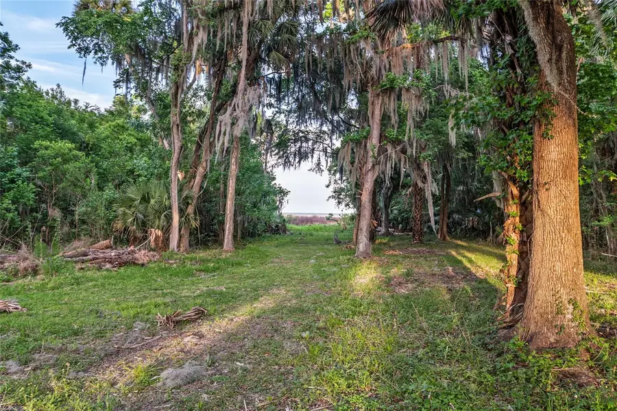 20361 1st Street, McIntosh, FL 32664 - #3