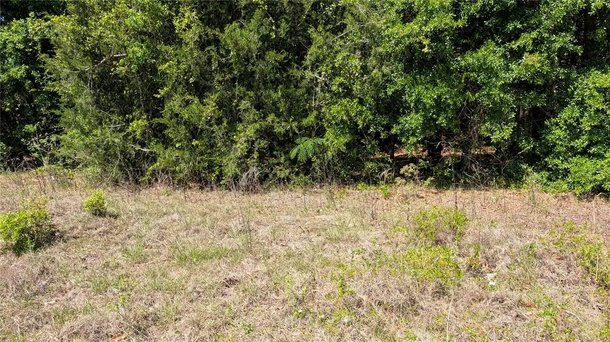 Se Cr 337, Trenton, FL 32693 - #1