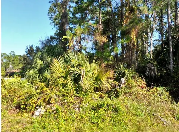 Zambrana Avenue, NORTH PORT, FL 34286