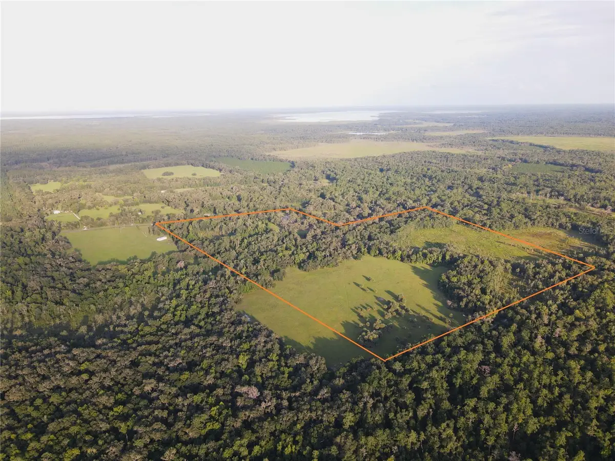 11816 SE County Road 234, Micanopy, FL 32667 - #1