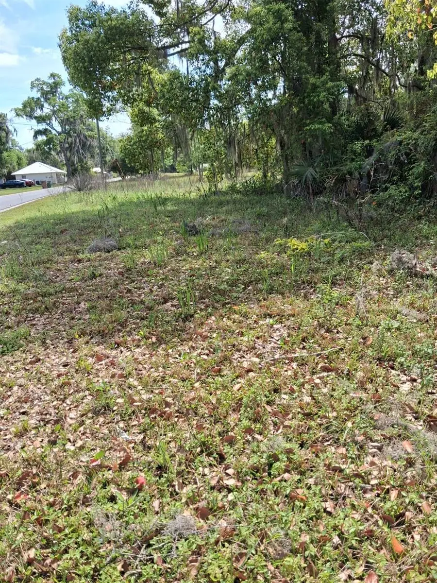 552 NE Gurley Avenue, Lake City, FL 32055 - #3