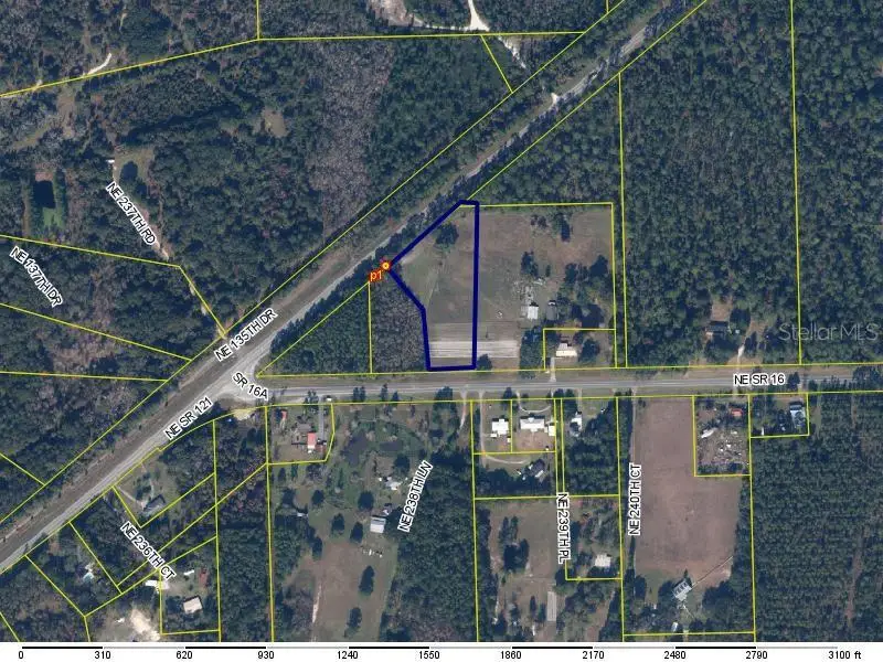 Ne State Road 16, Raiford, FL 32083 - #1