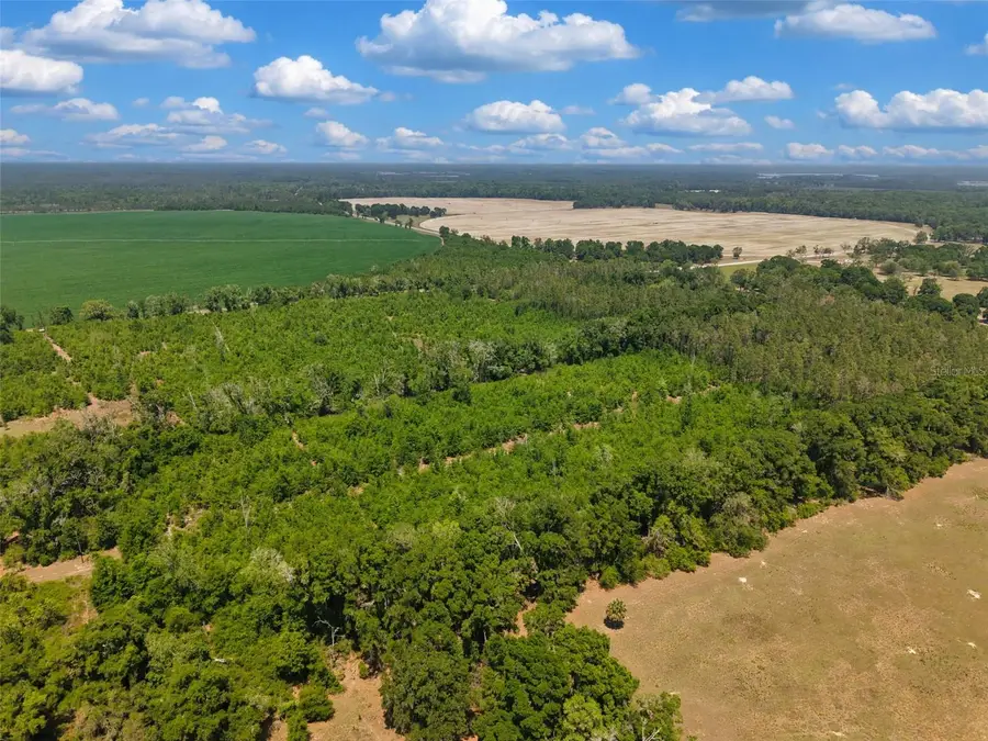 TBD 000 NE 998th Avenue, Branford, FL 32008 - #3