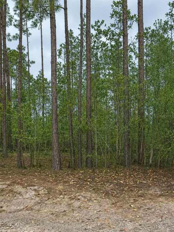 TBD NW 2nd Avenue, PALATKA, FL 32177