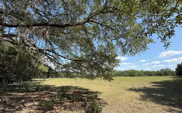 18919 NW 62nd Avenue, ALACHUA, FL 32615