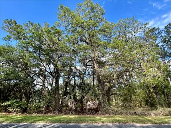 4819 NE 211th Drive, EARLETON, FL 32631