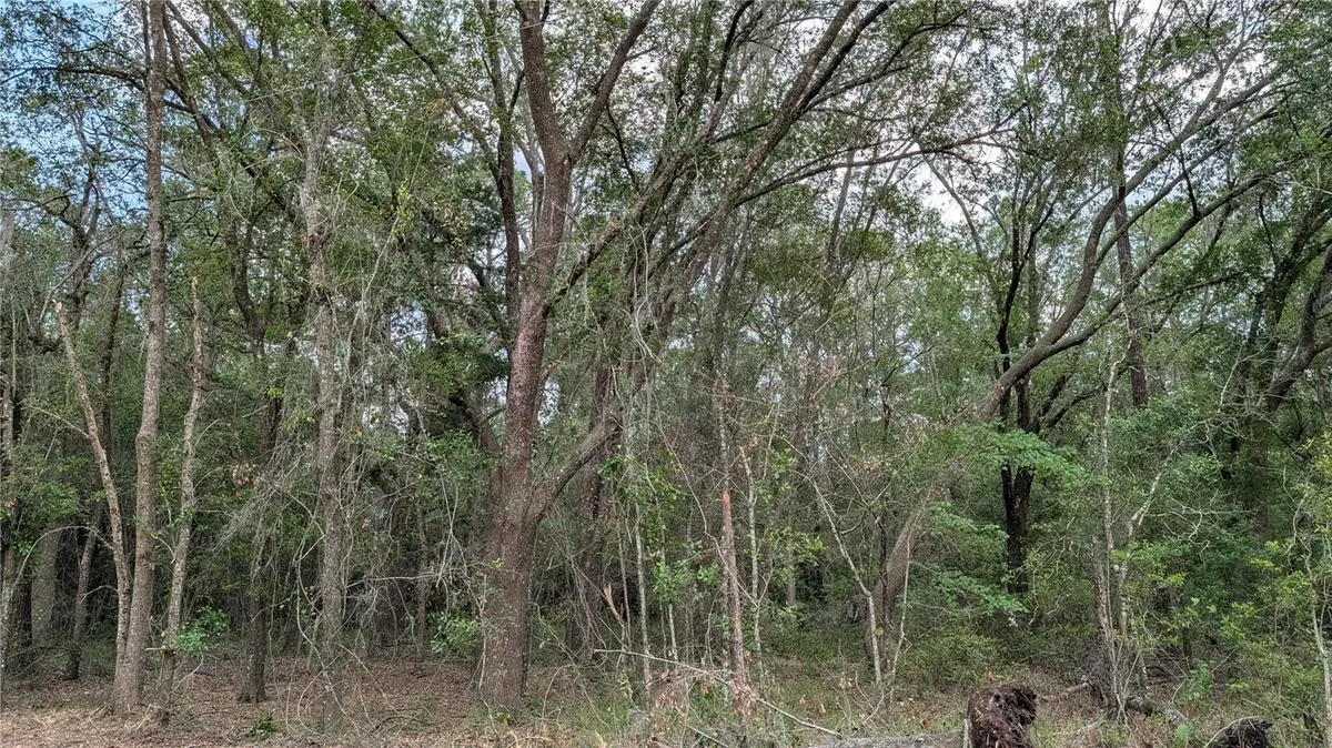 TBD NE 108th Place, Waldo, FL 32694 - #1