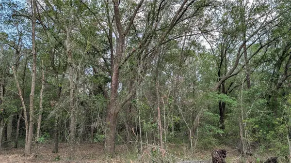 TBD NE 108th Place, WALDO, FL 32694