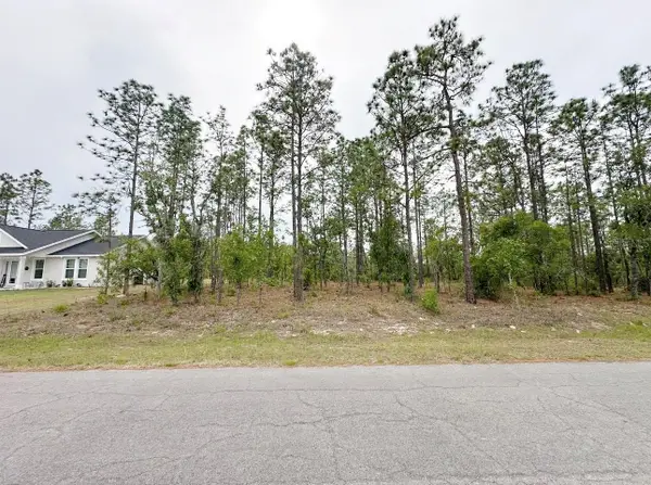 TBD NE 150th , Lot 10 Avenue, WILLISTON, FL 32696
