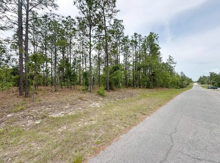 TBD NE 150th , Lot 10 Avenue, Williston, FL 32696 - #2