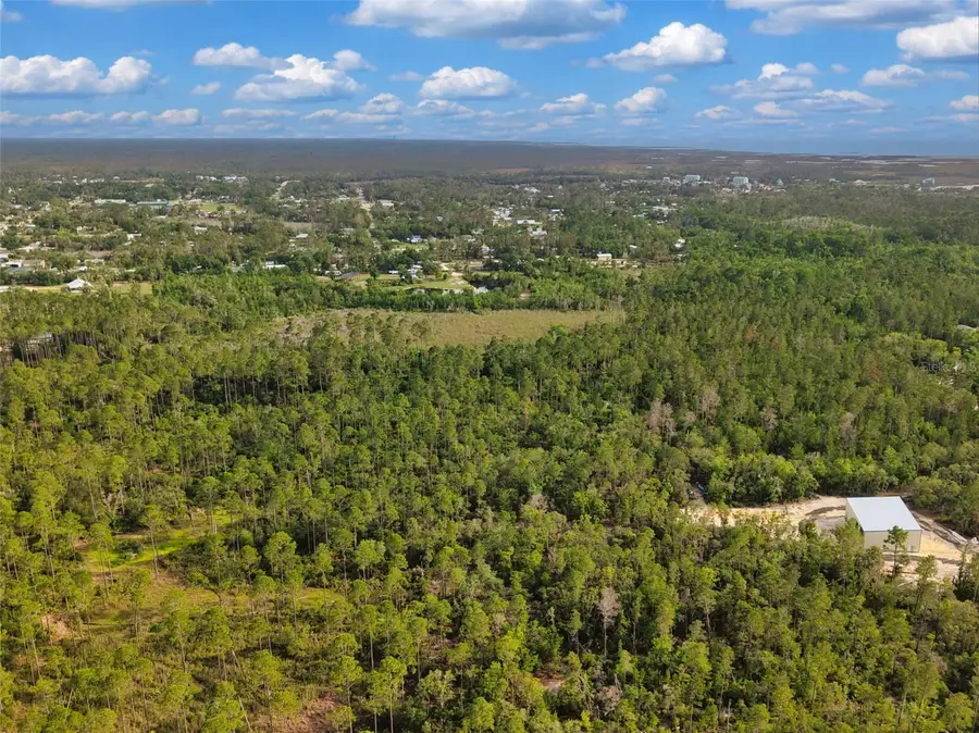 Savanna Lane, Steinhatchee, FL 32359 - #2