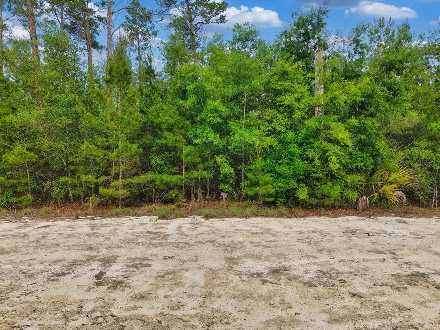 Savanna Lane, Steinhatchee, FL 32359 - #3