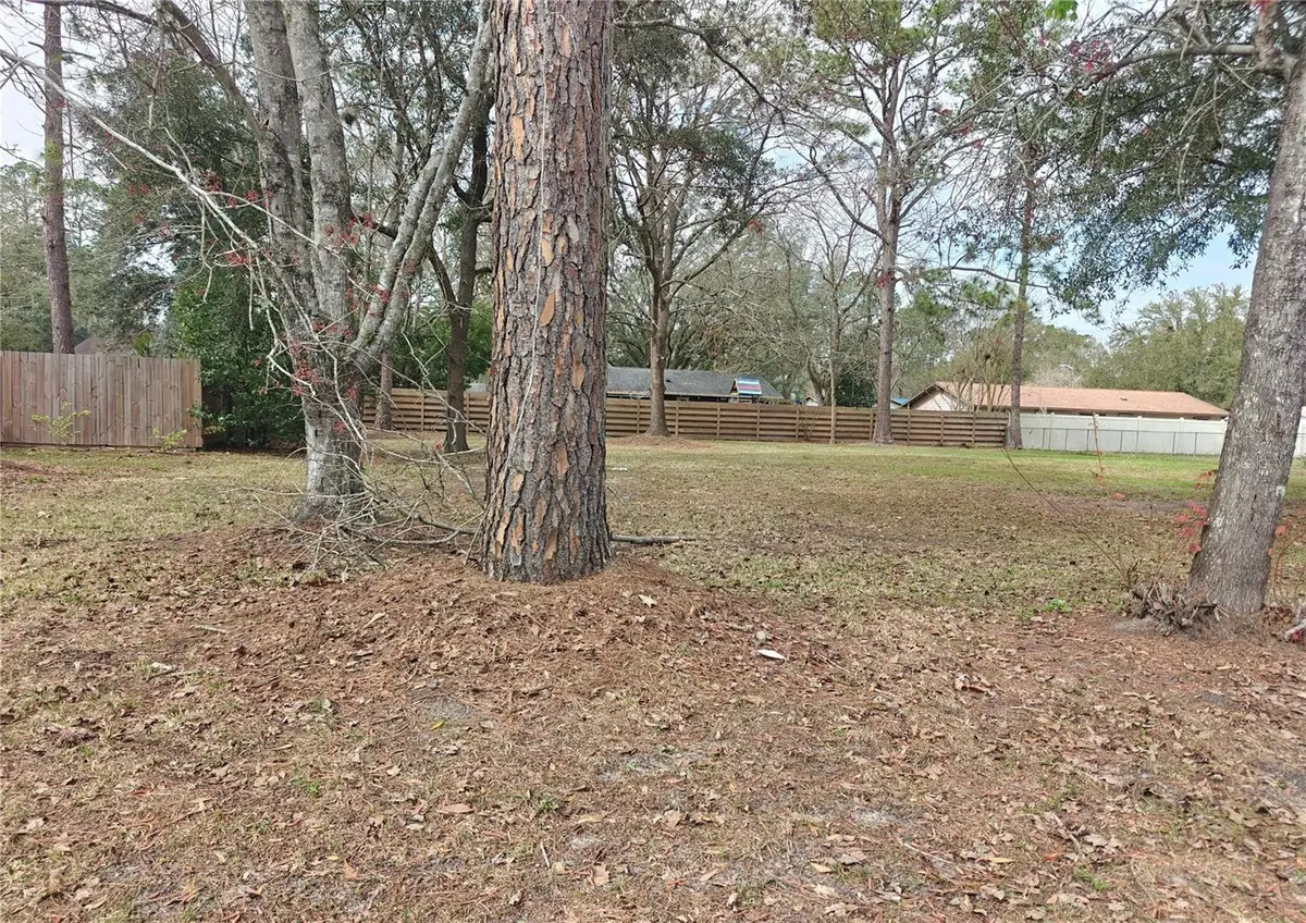 NW 29th Terrace, Gainesville, FL 32653 - #1