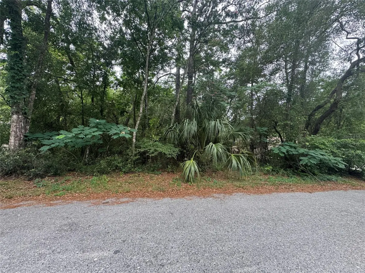 3462 E Michael Street, Inverness, FL 34453 - #1