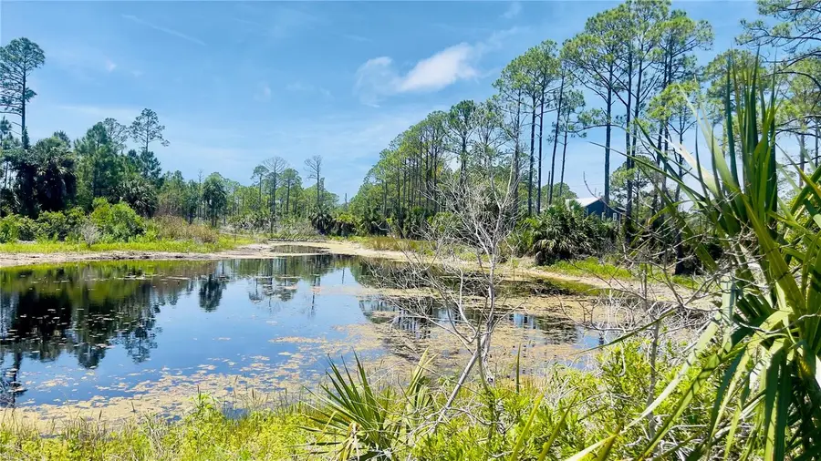 TBD SW 101st Ln, Cedar Key, FL 32625 - #2