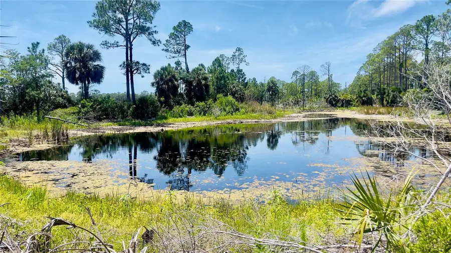 TBD SW 101st Ln, Cedar Key, FL 32625 - #3