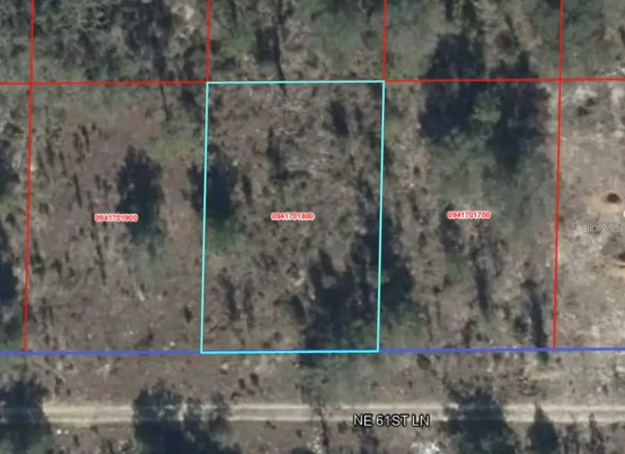 NE 61st Lane, Williston, FL 32696 - #3