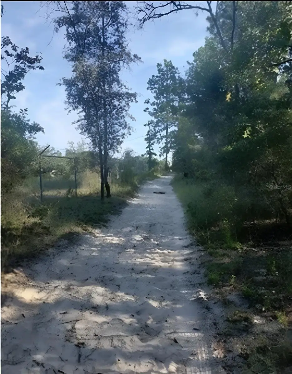 SE 60 Street, Morriston, FL 32668 - #1