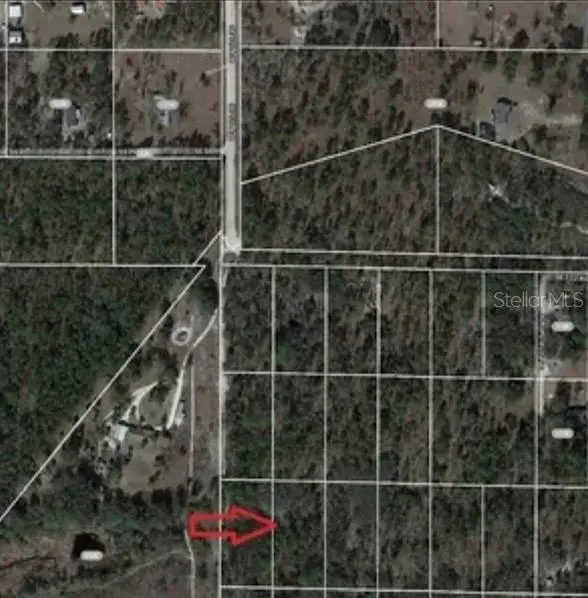SE 60 Street, Morriston, FL 32668 - #2