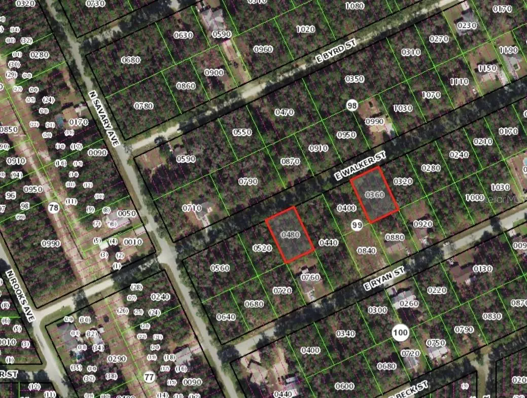 3676 & 3718 E Walker Street, Inverness, FL 34453 - #1