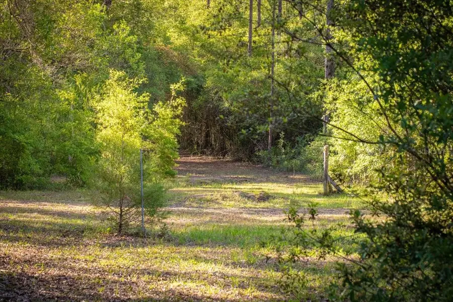 11418 NW 161st Street, Alachua, FL 32615 - #2