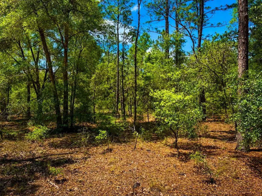 TBD Sw 93rd Place, Dunnellon, FL 34432 - #2