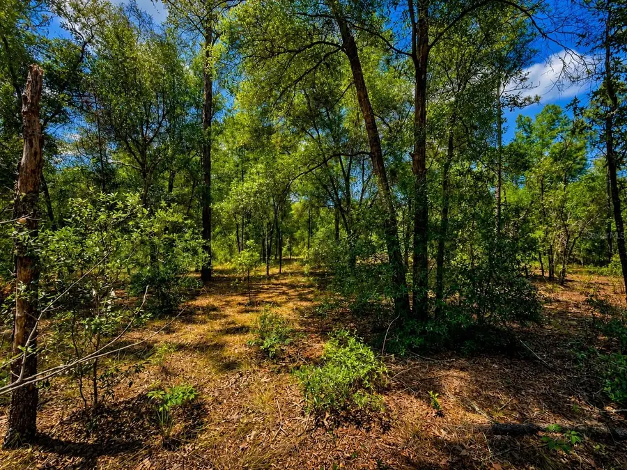 TBD Sw 93rd Place, Dunnellon, FL 34432 - #3