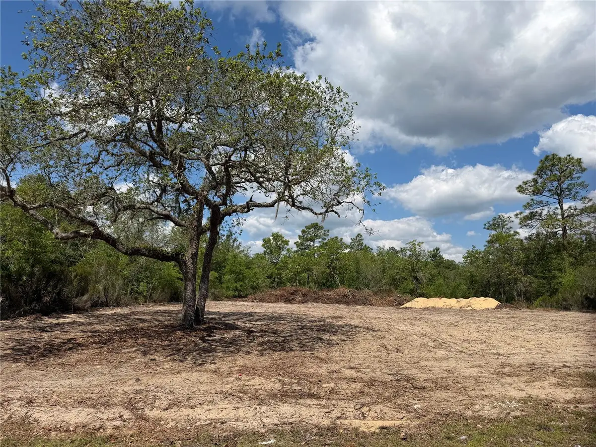 TBD NE 105th Avenue, Bronson, FL 32621 - #1
