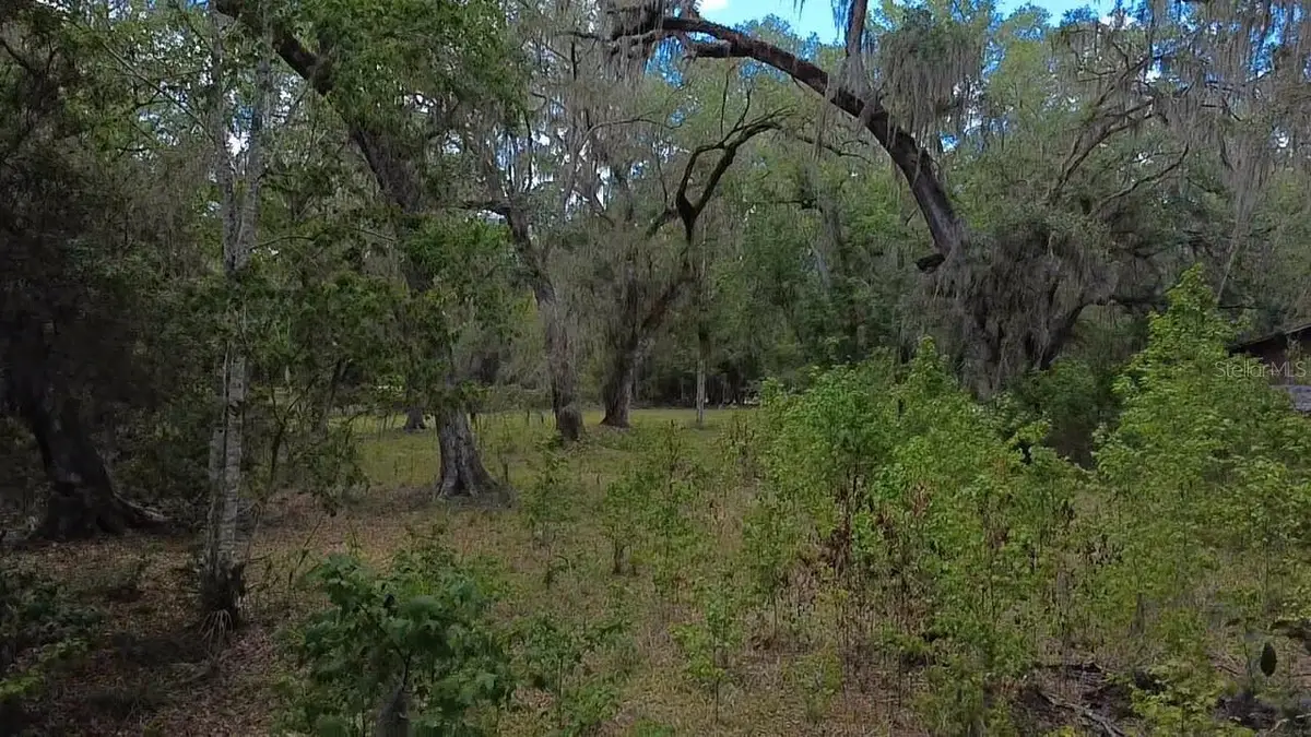 5813 SW 127th Avenue, Micanopy, FL 32667 - #1