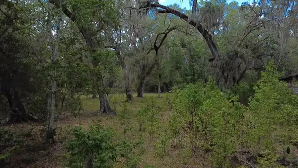 5813 SW 127th Avenue, MICANOPY, FL 32667
