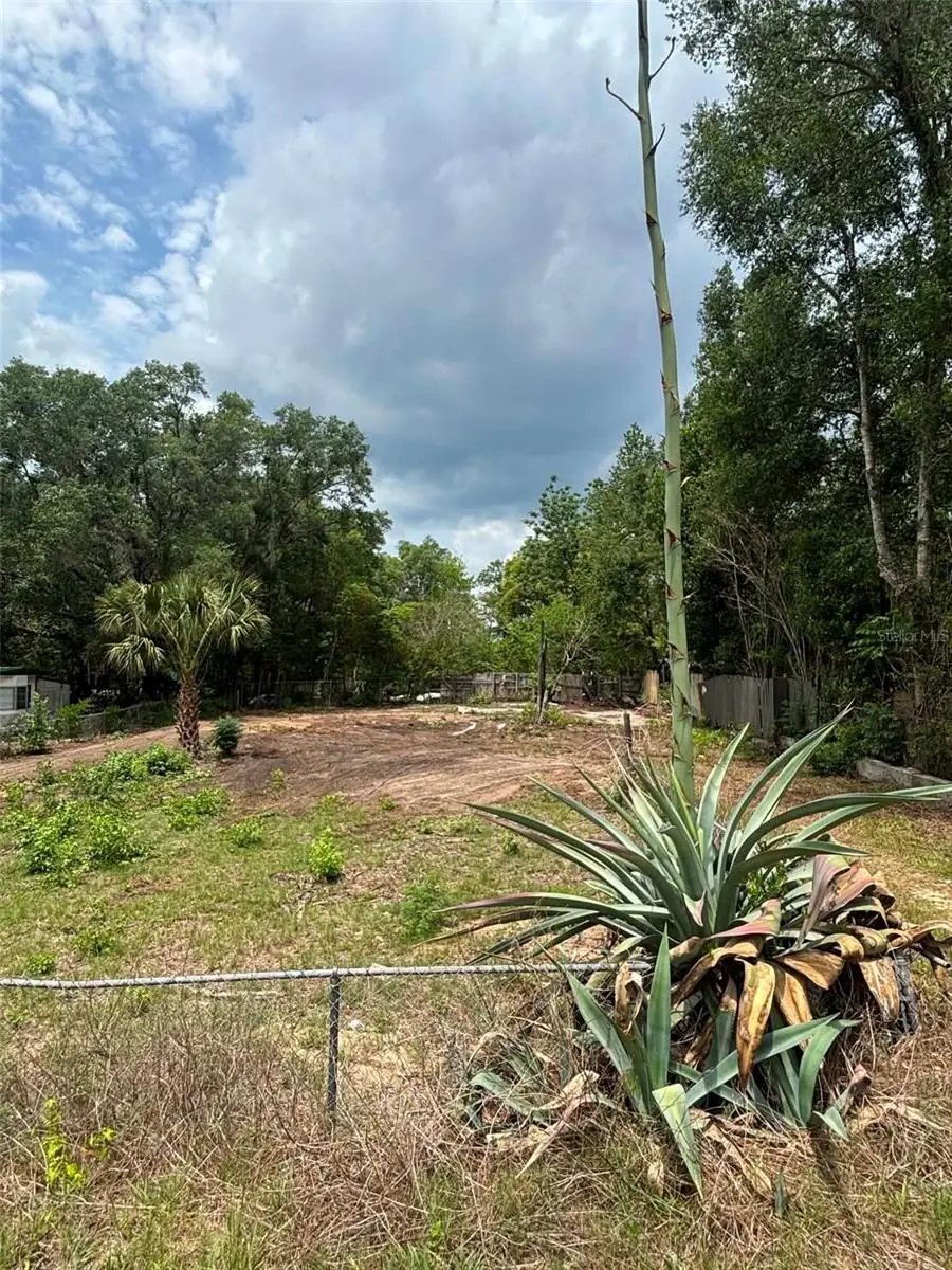 7480 Lakeview Street, Keystone Heights, FL 32656 - #1