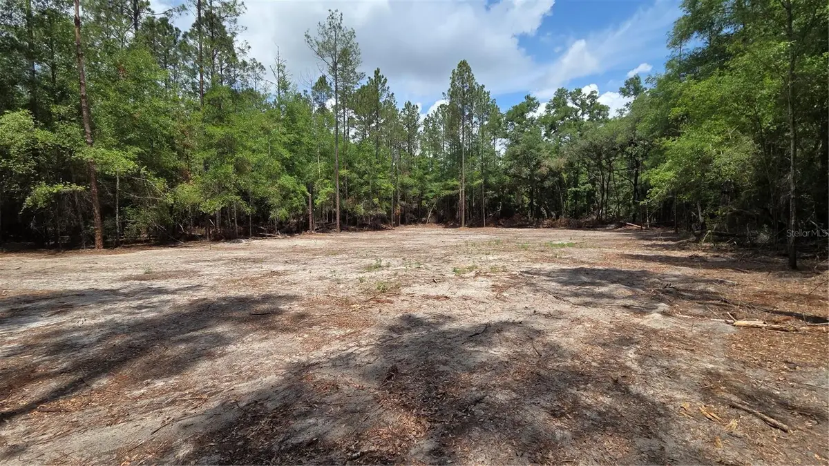 Sw 61st Place, Newberry, FL 32669 - #1