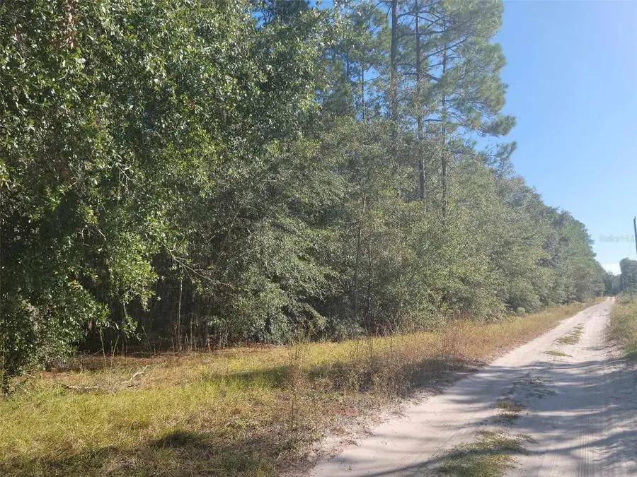 Sw 61st Place, Newberry, FL 32669 - #2