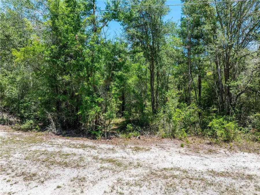 Lot 46 SW Roanoke Terrace, Fort White, FL 32038 - #2