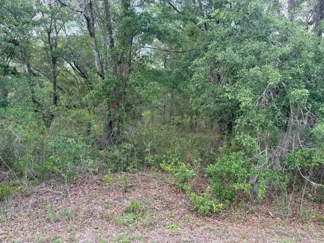 21902 NE 69th Place, Melrose, FL 32666 - #1